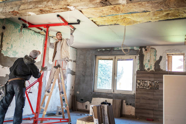 Best Insulation Maintenance and Repair in Ranchos De Taos, NM